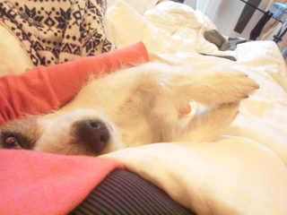 140101_082126.jpg