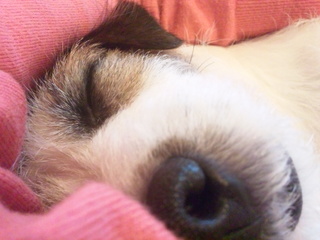 140101_082620.jpg