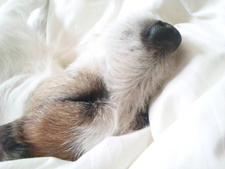 140126_105141.jpg
