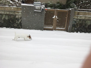 140208_120308.jpg