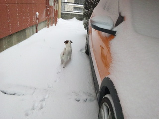 140208_120214.jpg