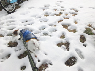 140212_144603.jpg