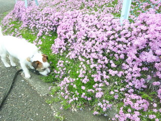 140409_143652.jpg