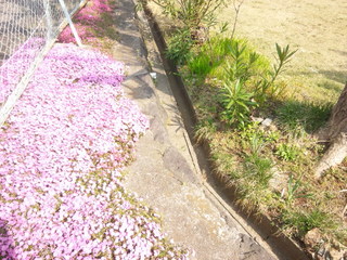 140409_141508.jpg