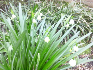 140410_091306.jpg