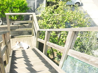 140412_094040.jpg