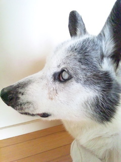140413_140953.jpg