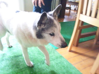 140413_141136.jpg