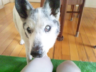 140413_141250.jpg