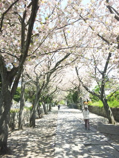 140415_110333.jpg