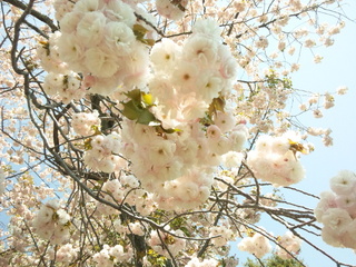 140415_110416.jpg