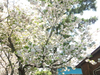 140415_110305.jpg
