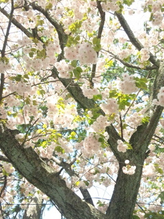 140415_105858.jpg