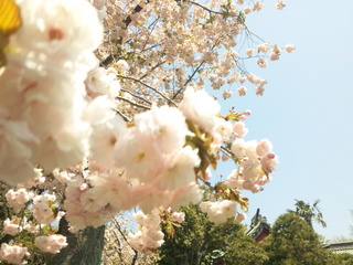 140415_110450.jpg