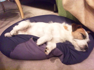 140418_180641.jpg