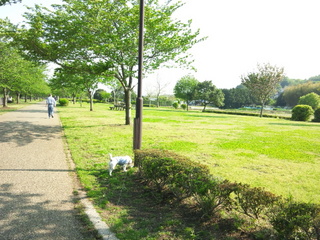 140501_152717.jpg