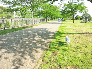 140501_152726.jpg