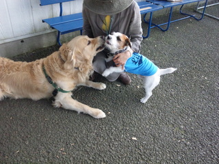 140502_161336.jpg