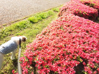 140501_155420.jpg