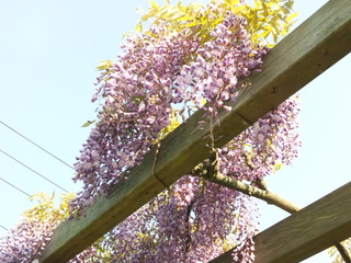 140501_154928.jpg