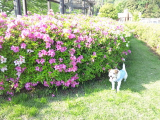140501_154554.jpg