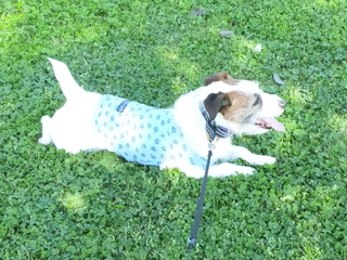 140501_152952.jpg