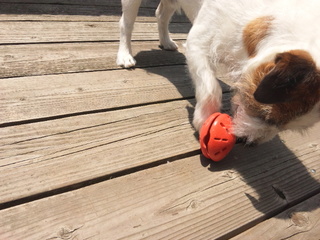 140509_120058.jpg