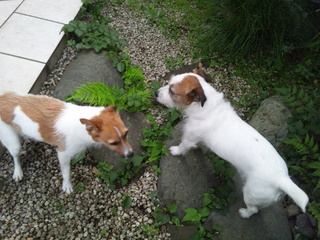 140601_070843.jpg