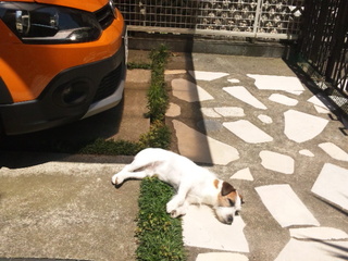 140613_120314.jpg