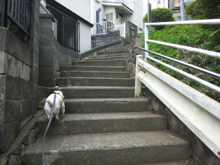 140625_153707.jpg