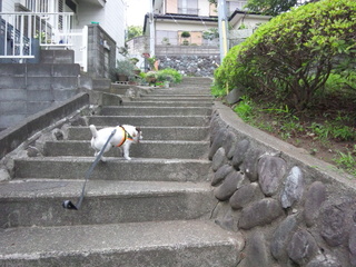 140625_153715.jpg