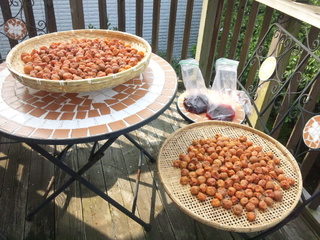 140722_081503.jpg