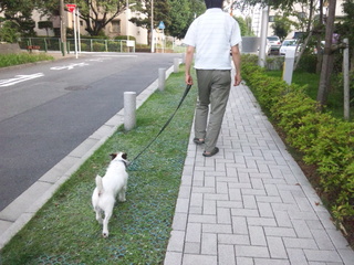 140721_173049.jpg