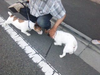 140806_054339.jpg