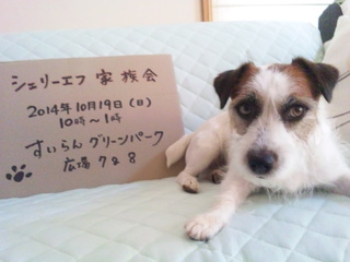 140807_150248.jpg