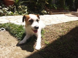 140818_122551.jpg