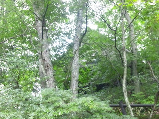 140826_094338.jpg