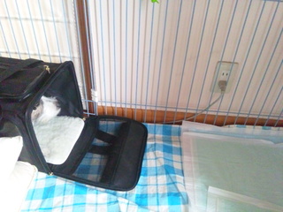 140830_100039.jpg