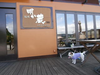 P9030178.JPG