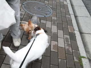 140909_063635.jpg