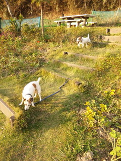 141103_155551.jpg
