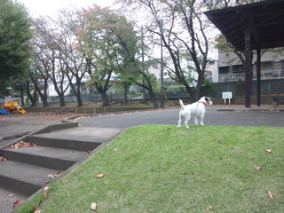 141106_141922.jpg