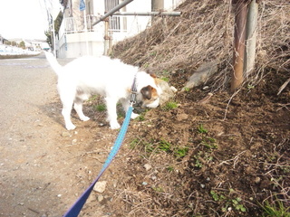 150119_140413.jpg