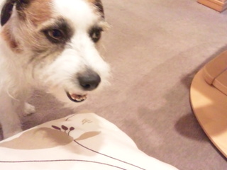 150130_183350.jpg