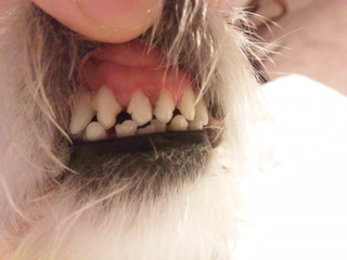 150214_192353.jpg
