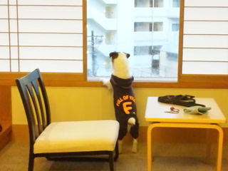 150301_161943.jpg