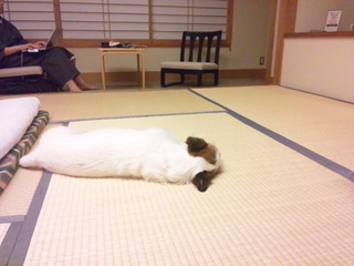 150301_215923.jpg