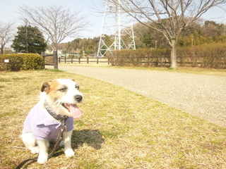 150313_135238.jpg