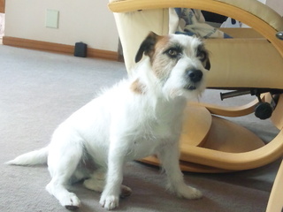 150315_140646.jpg