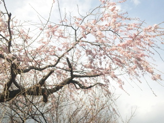 150323_145747.jpg